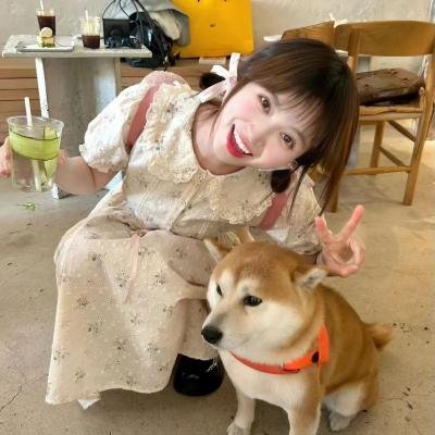 遨翔加州