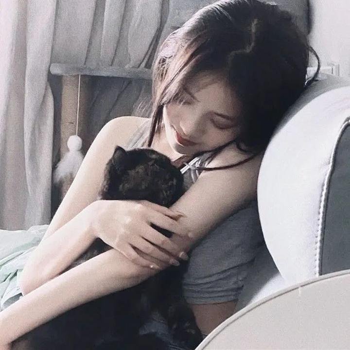 朕的喵妃是戏精