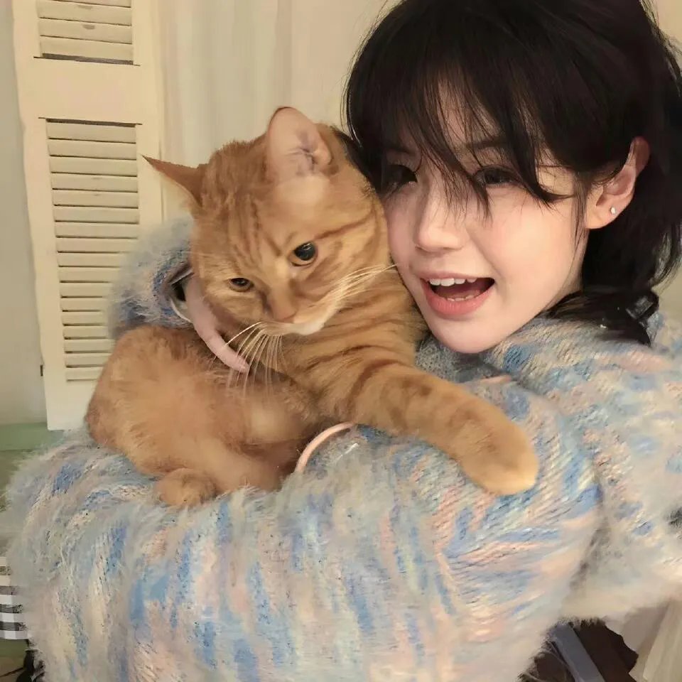 神龙赌圣之旗开得胜